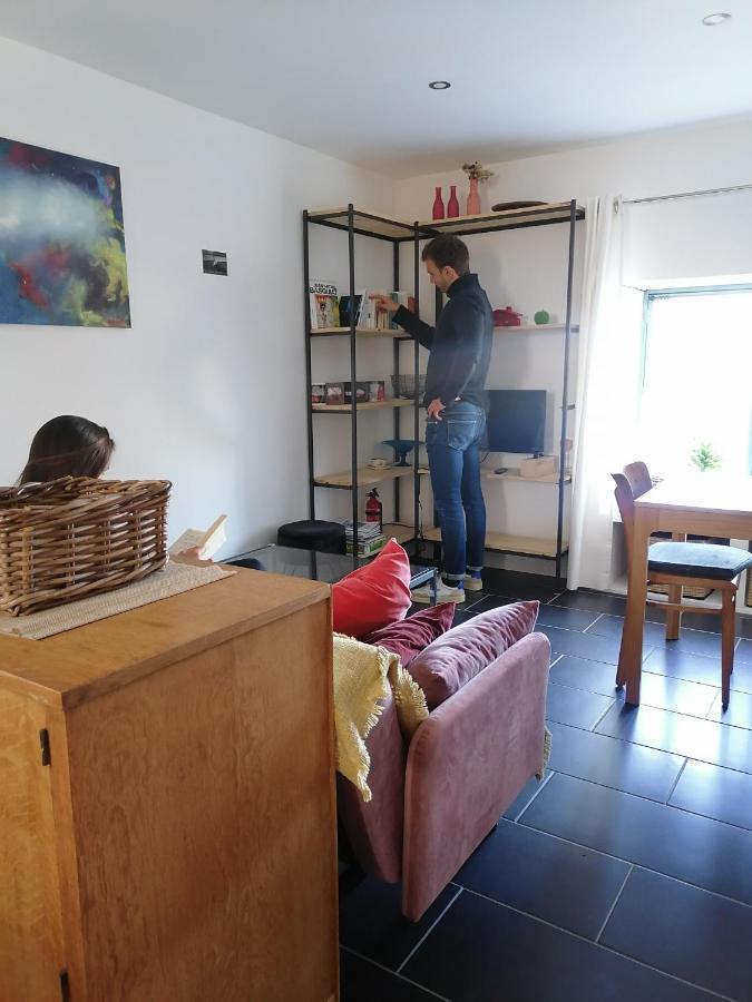 Gite La Maison La Saint-Aubin-d'Aubigne Extérieur photo